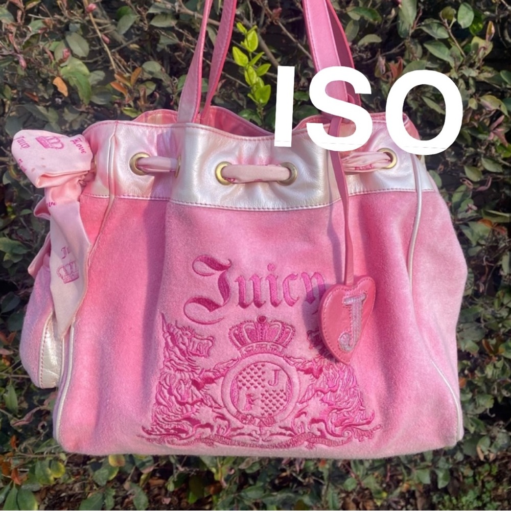 ISO Juicy Couture Bag